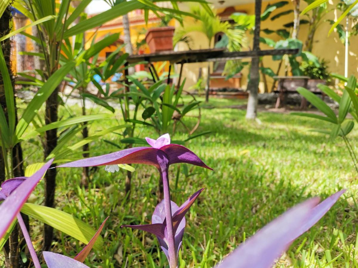 Hotel Hacienda Valentina Playa del Carmen Zewnętrze zdjęcie